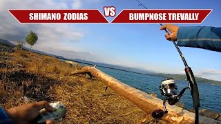 Shimano Zodias VS Bumpnose Trevally [upl. by Kurman952]