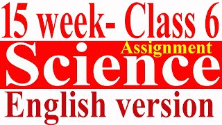 Class 6 Assignment  Science  English version  15 week [upl. by Assenab]