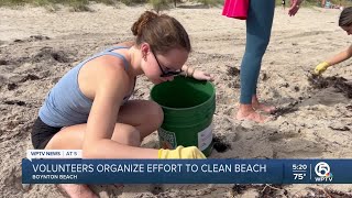 Nonprofit holds beach cleanup in Ocean Ridge [upl. by Chlo]