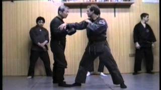 Hatsumi Tougher Bujinkan Training Days 1 [upl. by Aloisia]