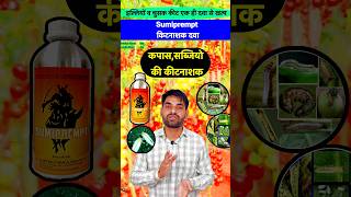 👌 सब्जियों व कपास की शानदार दवा  Illi Sundi Whitefly control insecticide insecticide shorts [upl. by Namajneb]