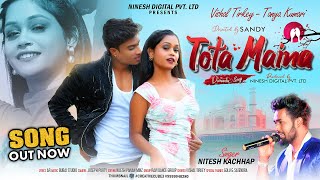 Tota Maina  Nitesh Kachhap  New Nagpuri Dance Video Song 2024 [upl. by Einwahr18]