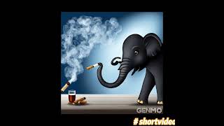 shortvideoThe elephant is smoking cigars and the ant is drinking beeranimation3d [upl. by Attenaj]