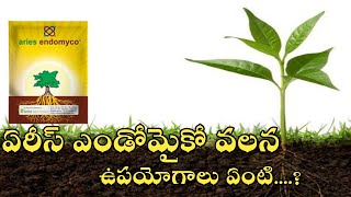 53 ఏరీస్ ఎండోమైకో ఉపయోగాలుAries Endomyco Use In All Crop Rythu Manishi [upl. by Devy319]