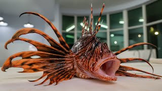 Fillet Lionfish like a Professional [upl. by Elrebmik]