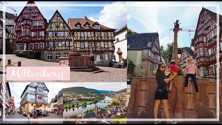 Miltenberg Town in Germany  Travel Vlog [upl. by Cecelia]