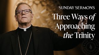 Three Ways of Approaching the Trinity  Bishop Barrons Sunday Sermon [upl. by Tommy642]