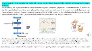 Simple Amino Acids Derived and Peptide Hormones [upl. by Milon371]