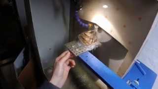 Cutting unclassified meteorite on Silver Blade VI [upl. by Harmonia]