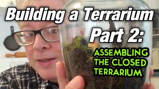 🍃🍂 Building a Terrarium Part 2 Assembling the Terrarium 🍃🍂🍁🌿 [upl. by Lattonia944]