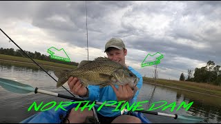 North Pine Dam Bass Fishing Tips and Tricks for Spinnerbaits [upl. by Luoar]