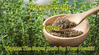 Thyme The Super Herb for Your Health  8 Amazing Benefits You Need to Know  Thyme Health Benefits [upl. by Rudyard]