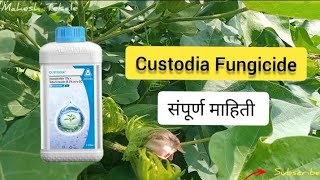 ADAMA Custodia Fungicide  Custodia बुरशीनाशक संपूर्ण माहिती  वापर डोस उपयोग आणि फायदे agriculture [upl. by Sayette]