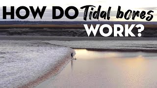 How do Tidal Bores Work [upl. by Zetnauq]