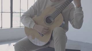 Altamira N100 Guitar  Product Demonstration [upl. by Yelrah]