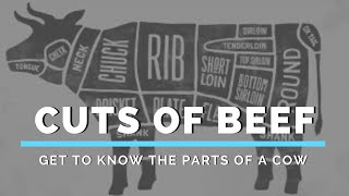 Cuts of Beef Get to Know the Parts of a Cow [upl. by Malan]