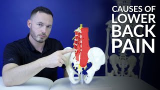 Low back pain The most common causes of lower back pain [upl. by Lesley967]