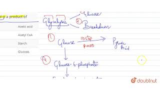 Pyruvic acid is a product of [upl. by Gnel]