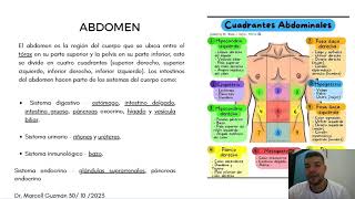 Presentación de abdomen [upl. by Elsbeth]