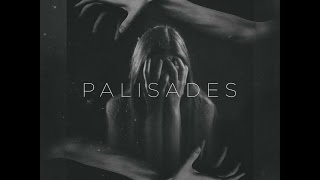 Palisades  Aggression Lyrics [upl. by Dygert776]