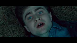 Harry Potter y las Reliquias de la Muerte Parte 1  TV Spot 1  Subtitulado  HD [upl. by Hermann575]