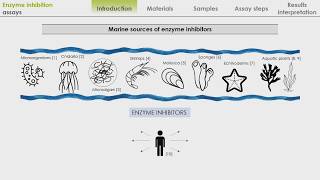 Enzyme inhibition assay [upl. by Nemrak]