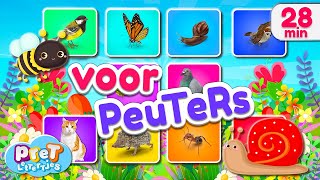 Dieren Leren Nederlands • 20 dieren vogels en insecten in de tuin • Pretlettertjes voor Peuters [upl. by Lionel]