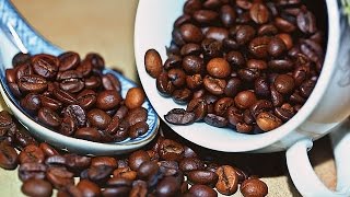 How to Grow your own Coffee [upl. by Prochoras]