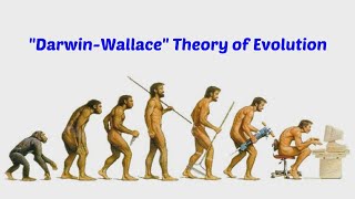 Darwinism  Heredity and Evolution  Class 10 Biology [upl. by Zeb730]