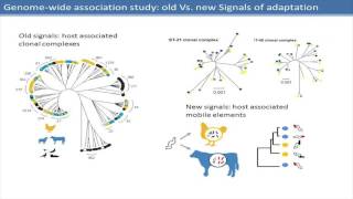 CLIMB Launch Sam Sheppard GWAS Religion or a Promising New Approach [upl. by Mcnamara988]