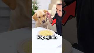 Köpeğine yemek vermeyen adam [upl. by Stroud]