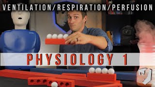 Physiology Part 1  Ventilation Respiration and Metabolism Oxygenation Overview [upl. by Nyliac]