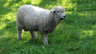 Gods Own Country The Yorkshire Dales [upl. by Enelrats]