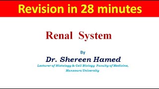 revision of renal system [upl. by Huoh325]