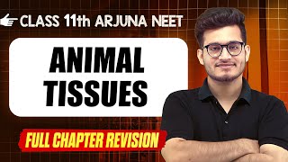 Animal Tissues  COMPLETE Chapter in 1 Video  Quick Revision  Class 11th Arjuna NEET [upl. by Dulcy]