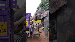 Meenad Vinayakan transported in lorry [upl. by Nhar]