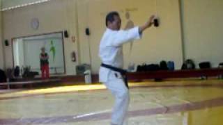 Master Yuen  Ong Tuoi  Tai ki ken [upl. by Nylssej]