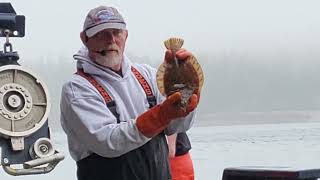 Crab Fisherman Boat Tour Ketchikan Alaska Pt 2 alaska ncl beringsea [upl. by Puna]