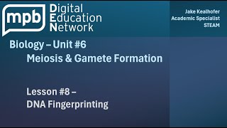 MPB Biology Unit 6 Lesson 8 DNA Fingerprinting [upl. by Cecilia]