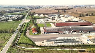 Mungitura robotizzata SocAgrPieve Ecoenergia Cingia deBotti agri Cremona Italy [upl. by Maynord696]