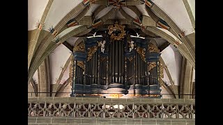 Georg Joseph Abbè Vogler Cantabile CDur blaue Ehrlich Orgel Bad Wimpfen blue organ [upl. by Donia]