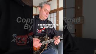 Copperhead Road Steve Earle Mandolin rockpopmandolin shorts shortsvideo [upl. by Apgar]