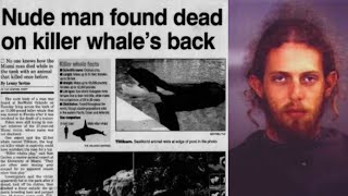 Why Orcas Only Attack Humans In Captivity  4 Tragic Cases [upl. by Eikcaj]