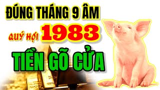 Tử vi báo hiệu lớn Quý Hợi 1983 hưởng vận may cực đỏ tiền tài gõ cửa tháng 9 âm lịch [upl. by Airbas]