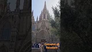 Cathedral of Barcelona Spain 🇪🇸 shorts shortfeeds [upl. by Iturhs]