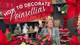 How to Decorate Poinsettias For The Holiday Season and How to Care for Your Poinsettia [upl. by Buyers]