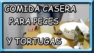 como hacer comida casera para peces y tortugas [upl. by Annairdua]