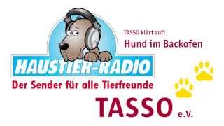 Haustier Radio quotTASSO klärt auf Hund im Backofenquot [upl. by Thomasin923]