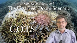 The First Doom Scenario Crown of Thorns Starfish in the Great Barrier Reef [upl. by Beniamino]