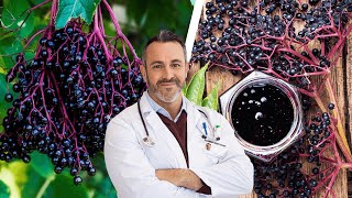 The Amazing Health Benefits of Black Elderberry [upl. by Ethban]